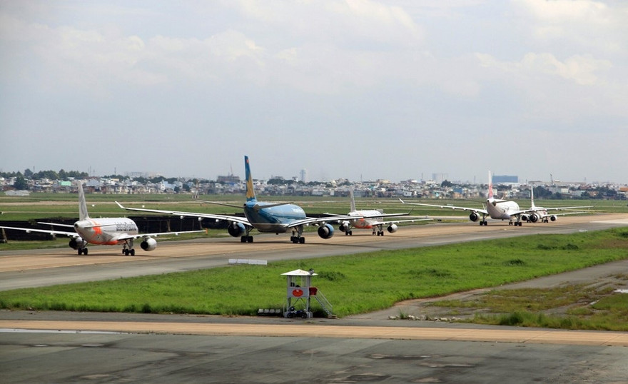 Sân bay Tân Sơn Nhất liên tục phát hiện chó chạy trên đường lăn, sân đỗ.