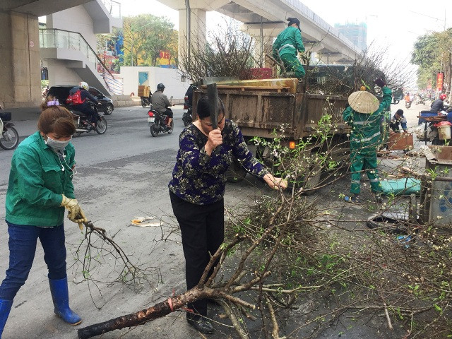 Công nhân môi trường phải chặt nhỏ cành đào để vận chuyển