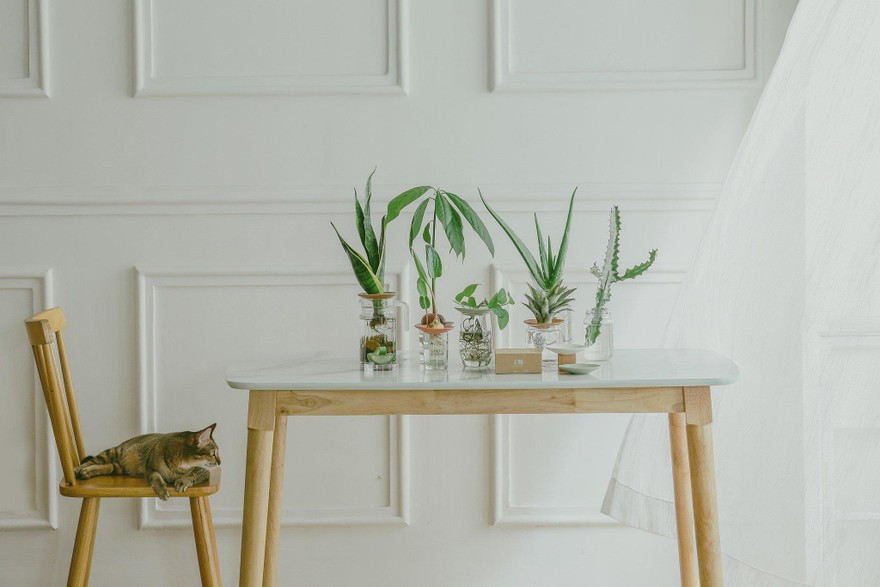 “Ôm Project”: Giúp người trẻ hình thành lối sống xanh