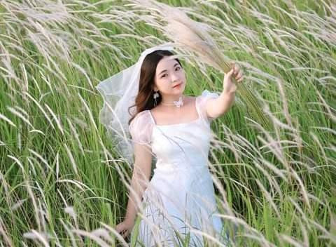 Giới trẻ TP. HCM mê mẩn với đồng cỏ lau 