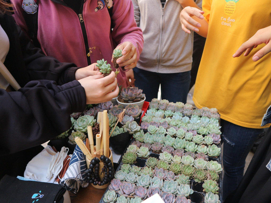 Đổi pin lấy cây xanh