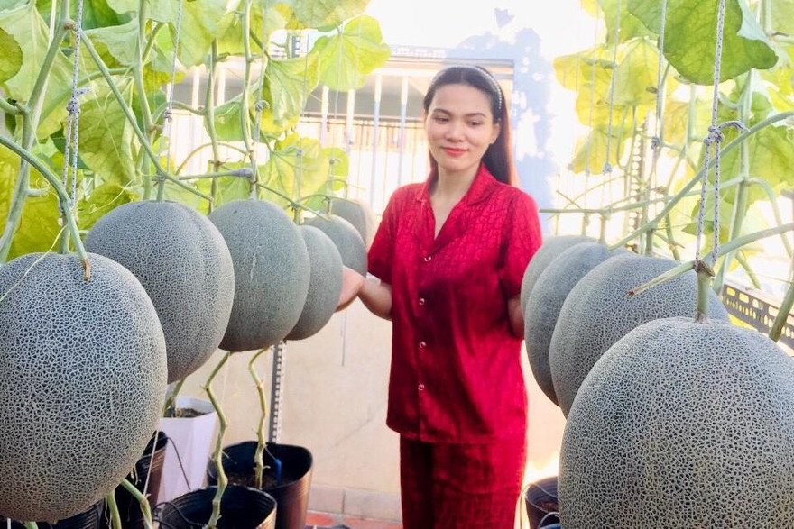 “Bình yên trên cao” giữa lòng Sài Gòn