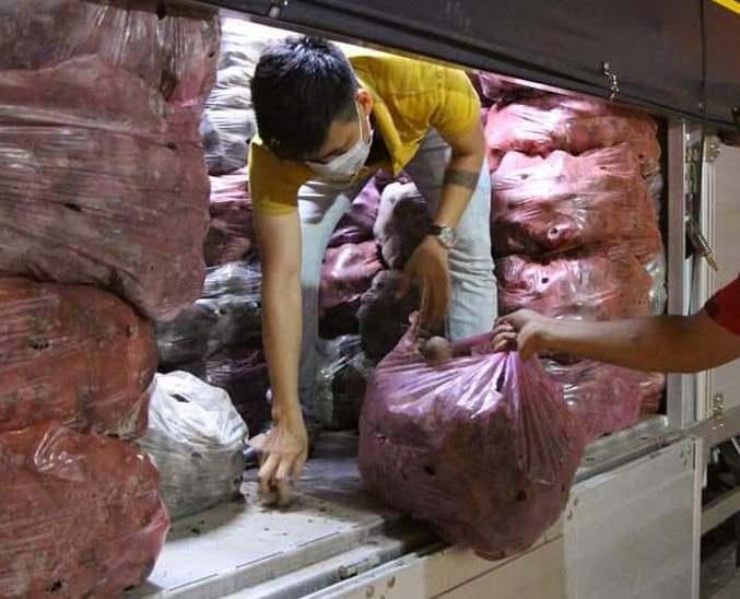 Giúp nông dân Vĩnh Long tiêu thụ khoai lang tím ùn ứ vì dịch COVID