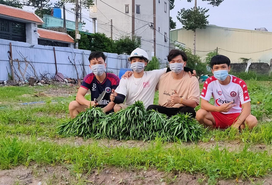 “Vườn rau nghĩa tình mùa dịch” của bốn chàng sinh viên Bách khoa