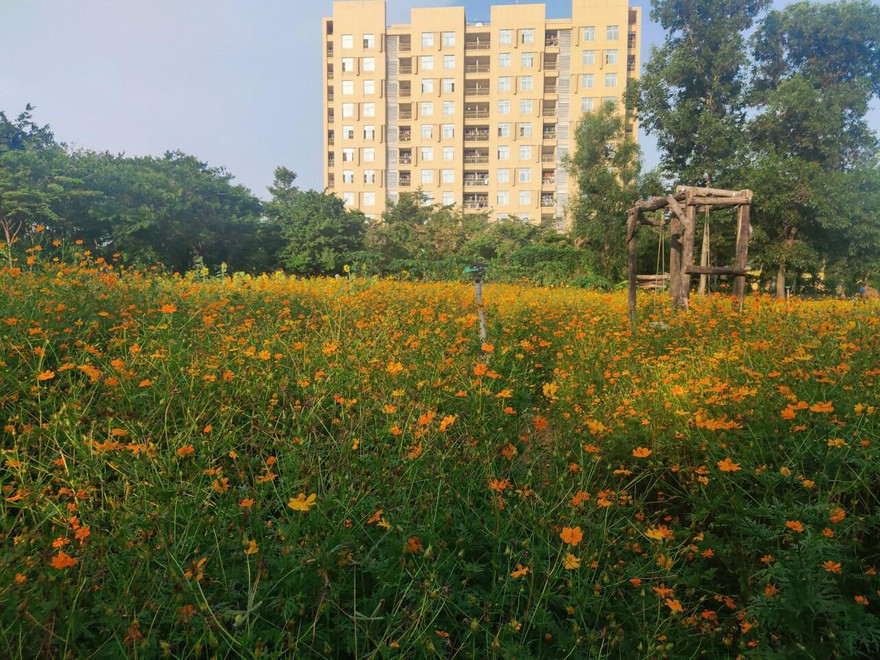 Khuôn viên trường đại học thơ mộng như những thước phim