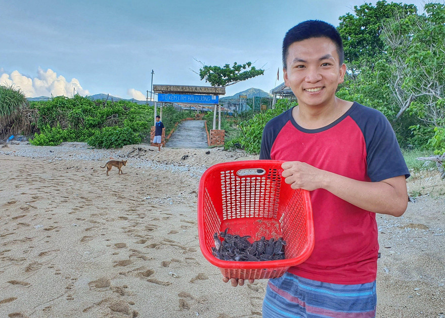 9X bảo tồn thiên nhiên bằng cách “đỡ đẻ” cho rùa biển