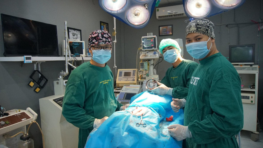 Chàng trai lập tổng đài tư vấn sức khỏe miễn phí cho chó, mèo 