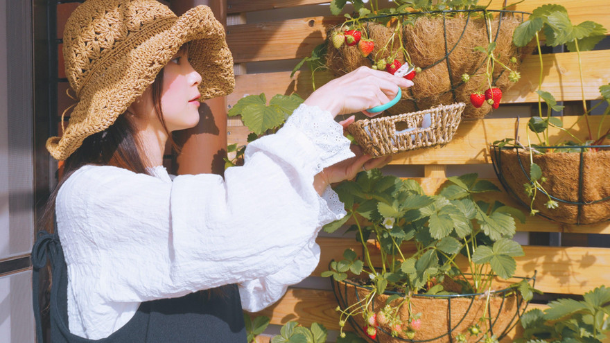 Học hỏi “bí kíp” sống xanh triệt để của cô gái Việt tại Nhật Bản