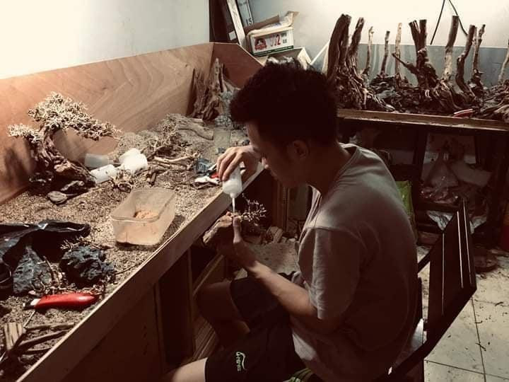 Chàng sinh viên 2K với mô hình trang trí bể tiểu cảnh độc đáo