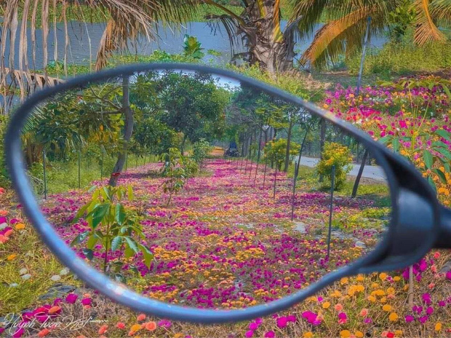 Độc đáo bộ ảnh miền quê qua gương chiếu hậu