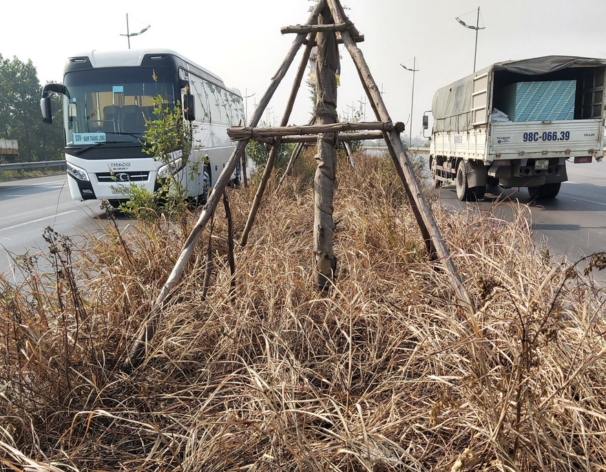 Cỏ và cây xanh trên quốc lộ 18 bị thiêu rụi