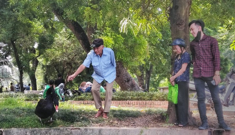 Du khách có thể lại rất gần, chạm vào thiên nga