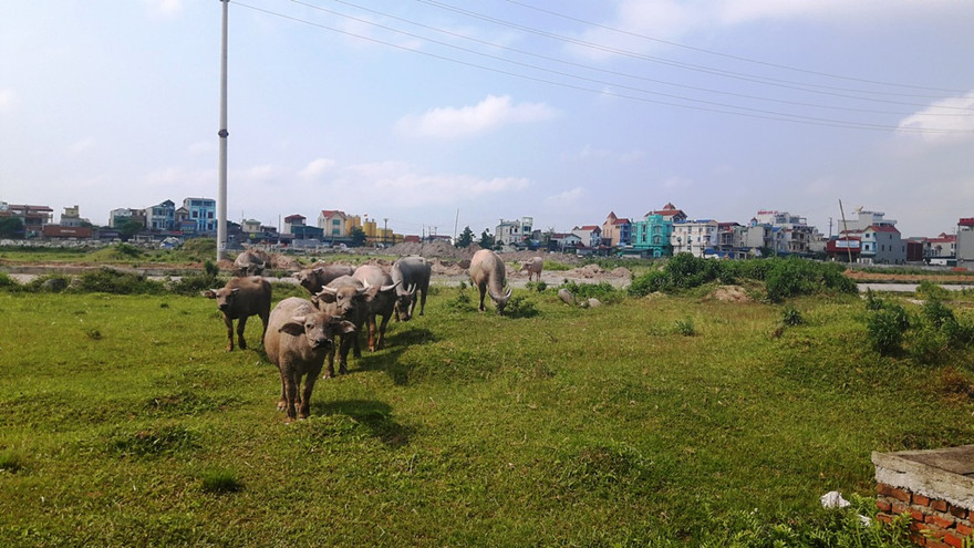 Khu công nghiệp Đồng Văn II hiện còn nhiều khu vực chưa hoàn thiện 