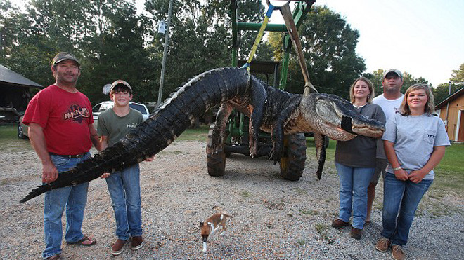 Gia đình nhà Stokes bên cạnh con cá sấu khổng lồ.