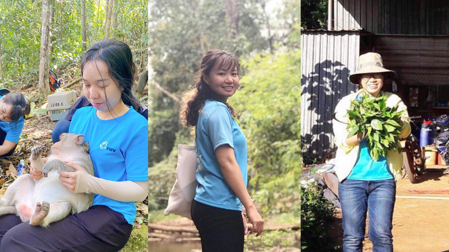 Những tình nguyện viên cứu hộ động vật hoang dã