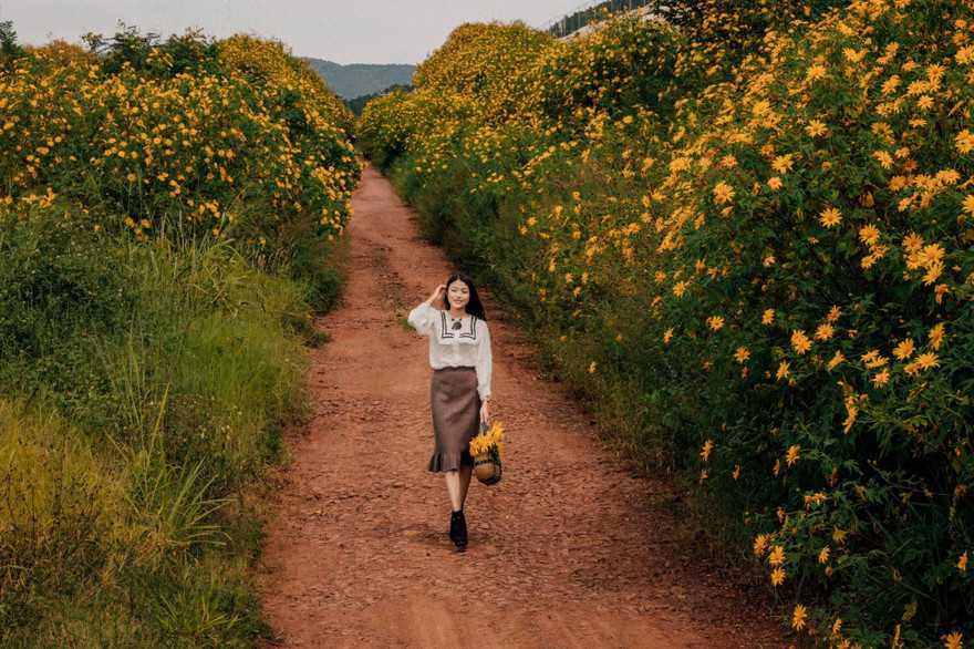 Giới trẻ tranh thủ check-in cùng hoa dã quỳ đang nở rộ tại Đà Lạt