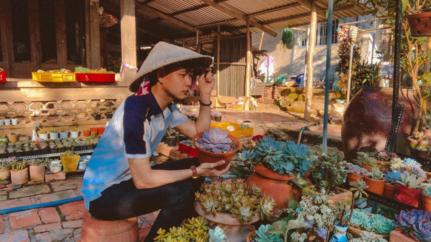 Chàng trai miền Tây sở hữu vườn sen đá khiến bao người 'mê mẩn'