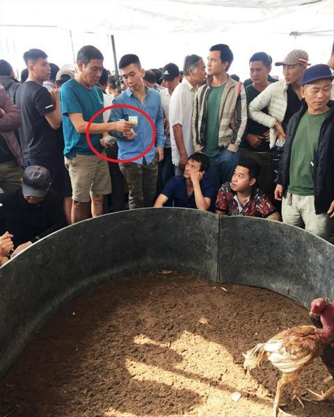 Tình trạng công khai cá độ xảy ra công khai cạnh sới gà