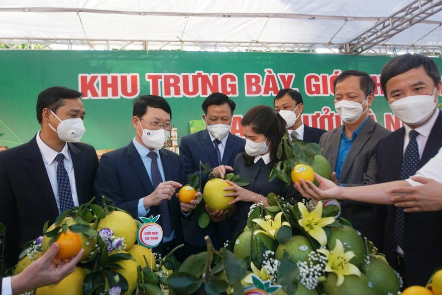 Lãnh đạo tỉnh Bắc Giang thăm các gian hàng trưng bày tại hội nghị