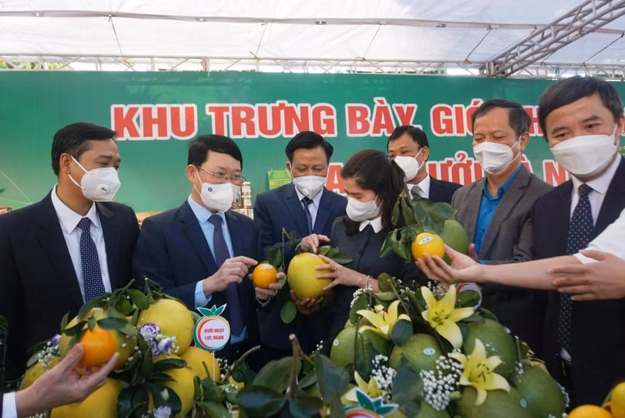 Lãnh đạo tỉnh Bắc Giang thăm các gian hàng trưng bày tại hội nghị