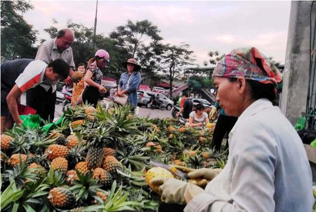 Nông dân trực tiếp mang dứa ra tiêu thụ tại Hà Nội (ảnh chụp tại điểm bán cổng công viên Thống Nhất)