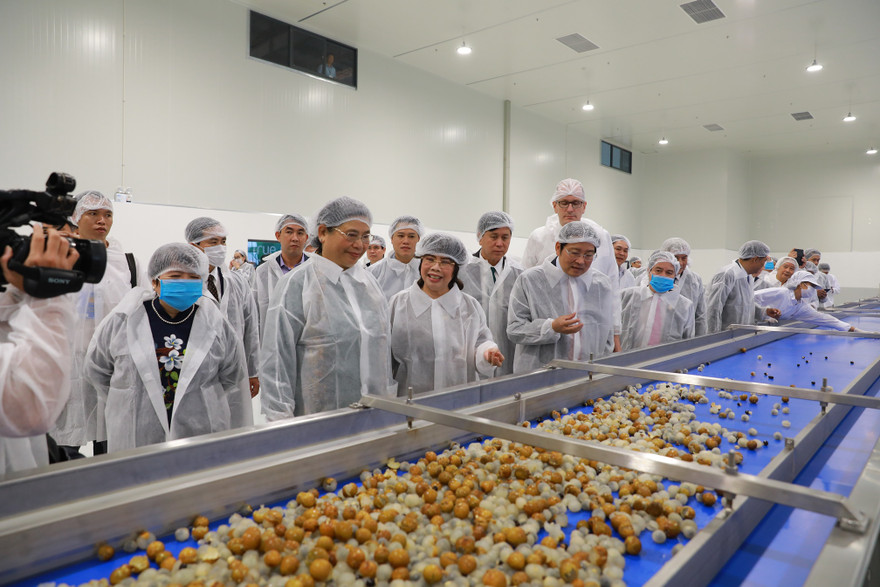 Chạy thử dây chuyền để sản xuất nước nhãn cô đặc