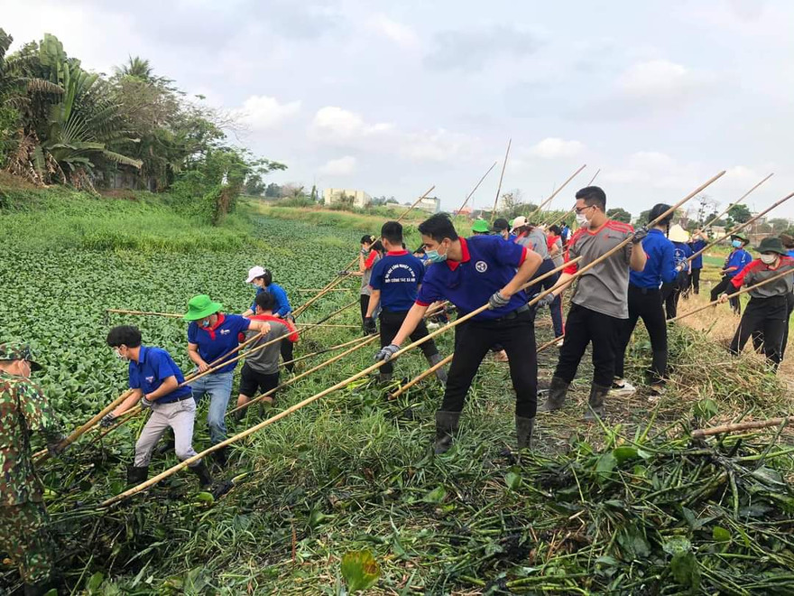Gần 1.000 sinh viên hưởng ứng chương trình “Ngày Chủ Nhật Xanh”
