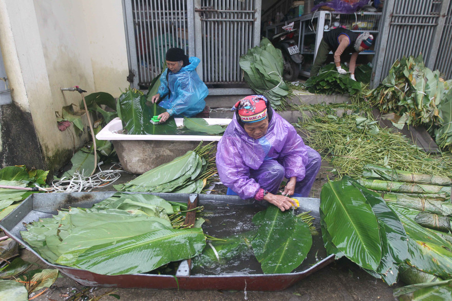 Nghề rửa lá dong hái ra tiền ở công xưởng bánh chưng lớn nhất miền Bắc