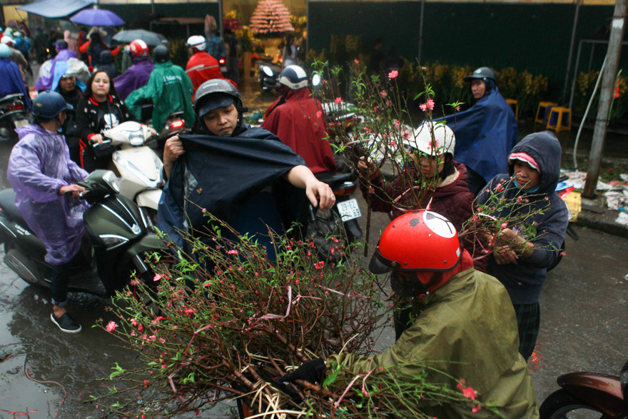 Đào quất phá giá chiều 30 Tết, người Hà Nội đội mưa đi mua