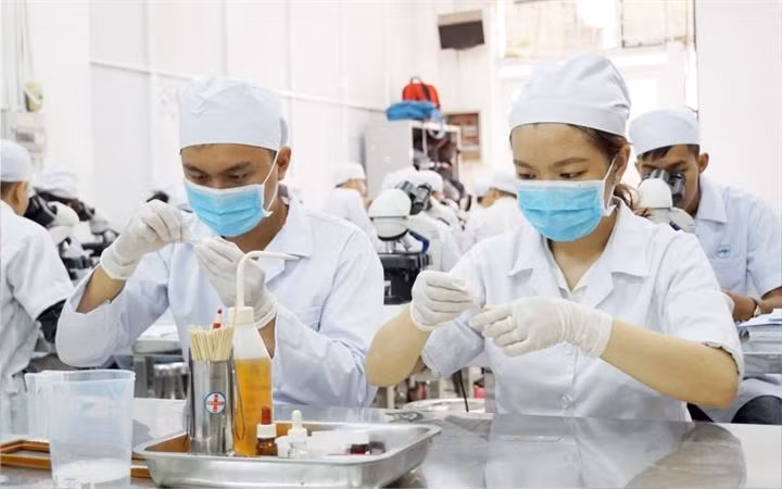 Trường ĐH Y Hà Nội đào tạo khẩn cấp về chẩn đoán, điều trị COVID-19 cho miễn phí.