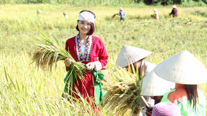 9X xứ Thanh khởi nghiệp thành công với mô hình vườn rừng bản Thổ