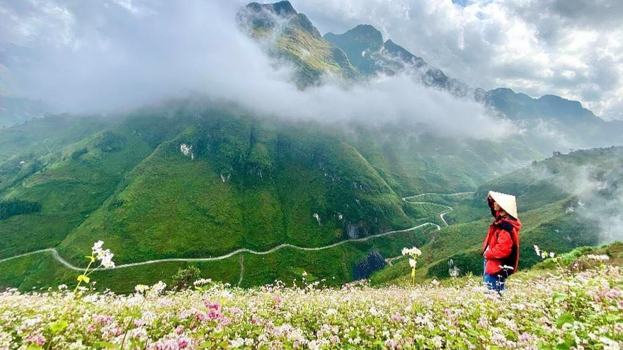 Những bức ảnh 'Check-in' Hà Giang tuyệt đẹp mùa hoa tam giác mạch