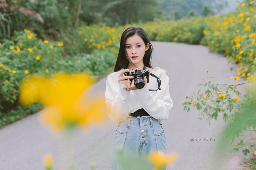 Giới trẻ 'checkin' vườn hoa dã quỳ lớn nhất Thủ đô