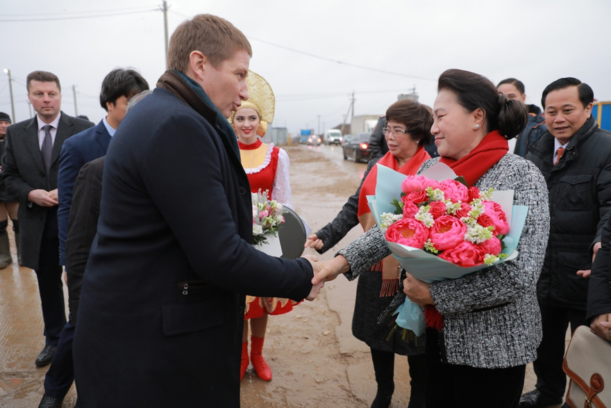 Chủ tịch Quốc hội thăm Trang trại chăn nuôi bò sữa tập trung công nghệ cao của Tập đoàn TH tại huyện Volokolamsk, tỉnh Moscow 