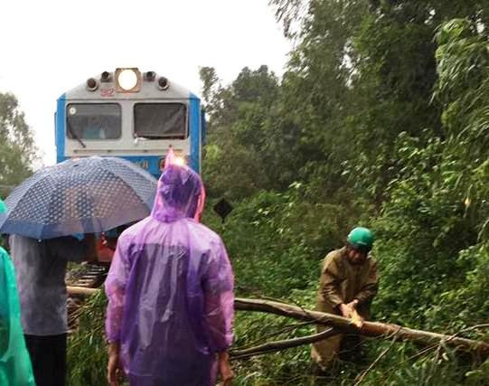 Cây đổ chắn ngang đường sắt trong bão số 12
