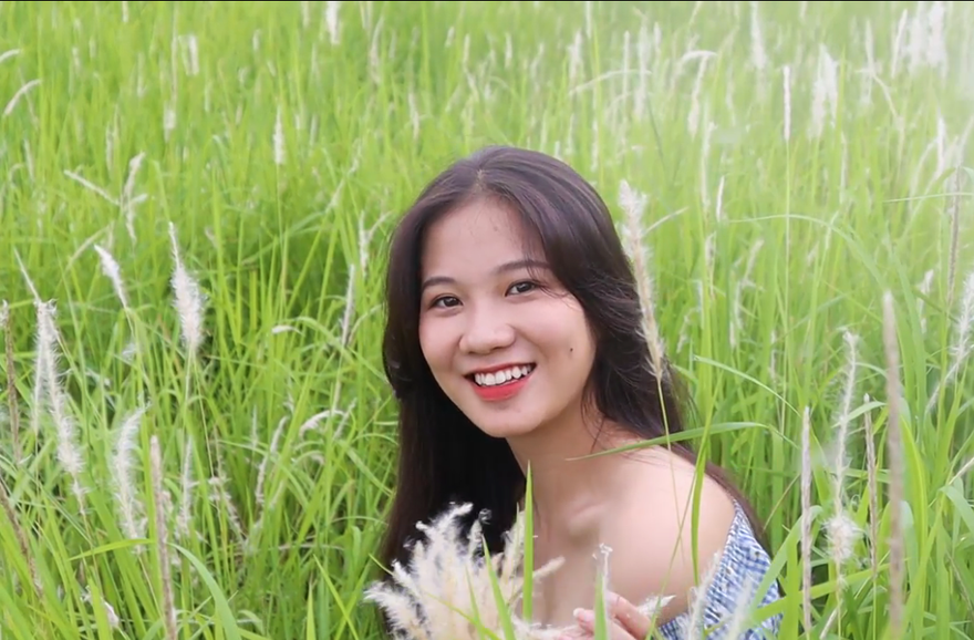 Những triền đê phủ trắng cỏ tranh ở Hà Nội 