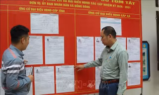 Bầu cử Quốc hội và HĐND: Các mốc thời gian cần lưu ý