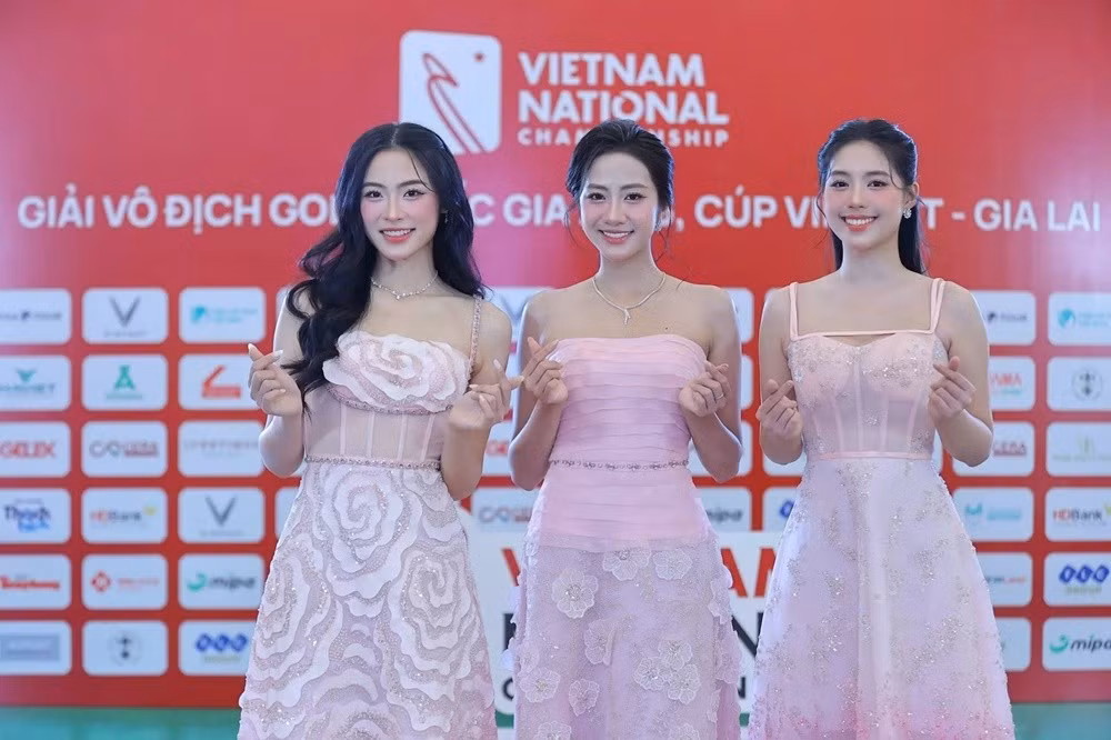 top-3-hhvn.jpg