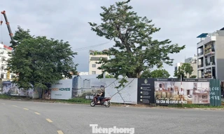 "Cò đất" thổi giá lên đến 80 triệu đồng/m² căn chung cư ở dự án The InterOne. Ảnh: Nguyễn Thắng