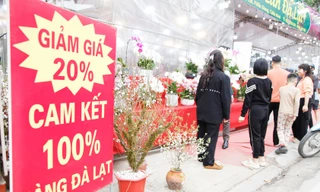 Cửa hàng lan của anh Hoàng Văn Đức giảm 20% giá bán. Ảnh: Nguyễn Thắng