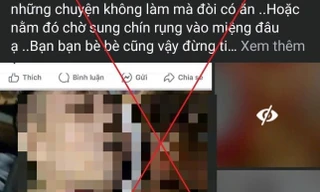 Chị P.T.T.N đăng tải hình ảnh bạo lực, rùng rợn để thu hút tương tác.