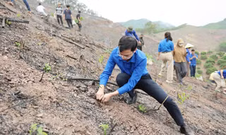 Lãnh đạo Tỉnh Đoàn Bắc Ninh trồng cây xanh.
