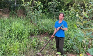 Chị Vinh không chỉ là điển hình làm kinh tế giỏi mà còn giúp nhiều người khác vươn lên thoát nghèo.