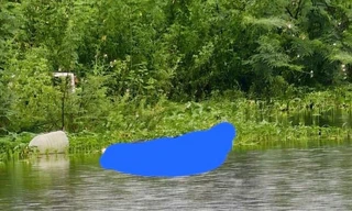 Hiện trường vụ việc.