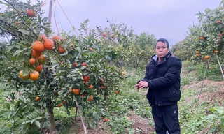 Đối tượng liên quan vụ án. Ảnh: Công an phường Chũ.