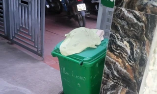 Hiện trường vụ việc.