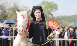 Chú ngựa bạch số 02 đạt danh hiệu “hoa hậu ngựa” được trao vương miện cùng phần thưởng trị giá 3 triệu đồng.