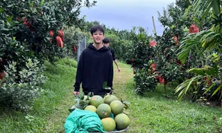 Anh Nguyễn Văn Hữu thoát nghèo bền vững, làm giàu từ cây bưởi. Ảnh: Nguyễn Thắng