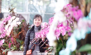 Một khách hàng mua lan chơi Tết.