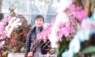 Một khách hàng mua lan chơi Tết.